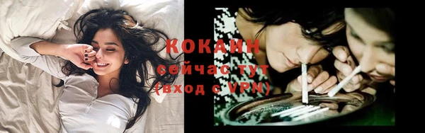 молекула духа Тихорецк
