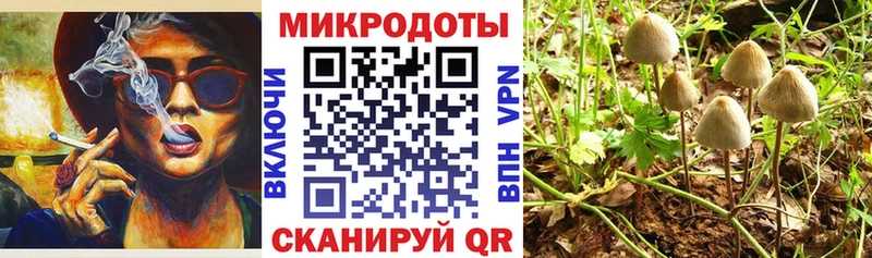купить даркнет как зайти Галлюциногенные грибы MAGIC MUSHROOMS Электроугли
