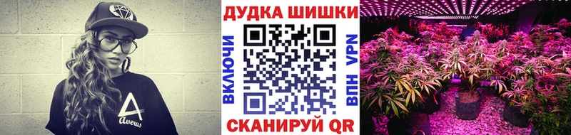 kraken   Электроугли  Бошки Шишки план 